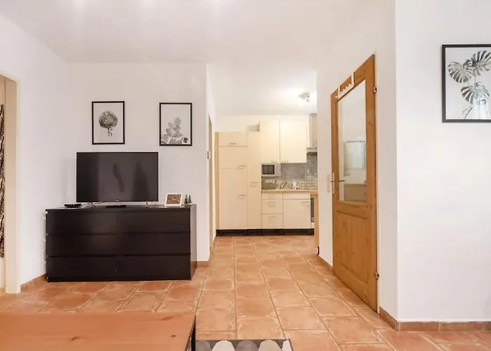 Spacious Apartament *